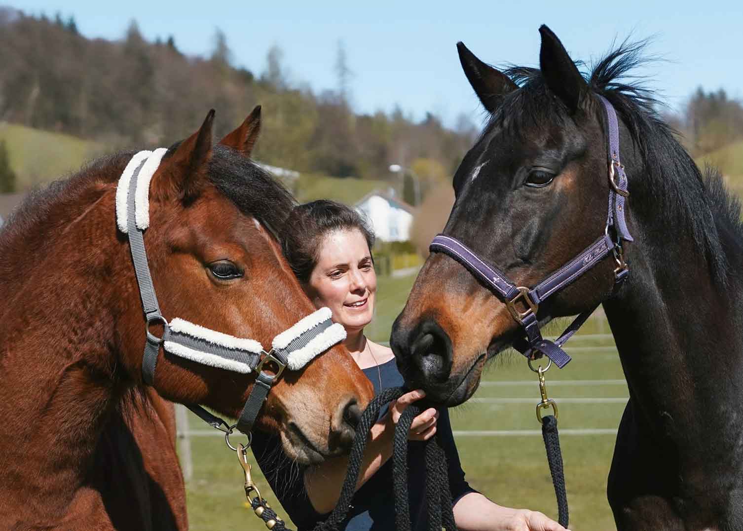 Coaching Partner-Pferd Zofingen