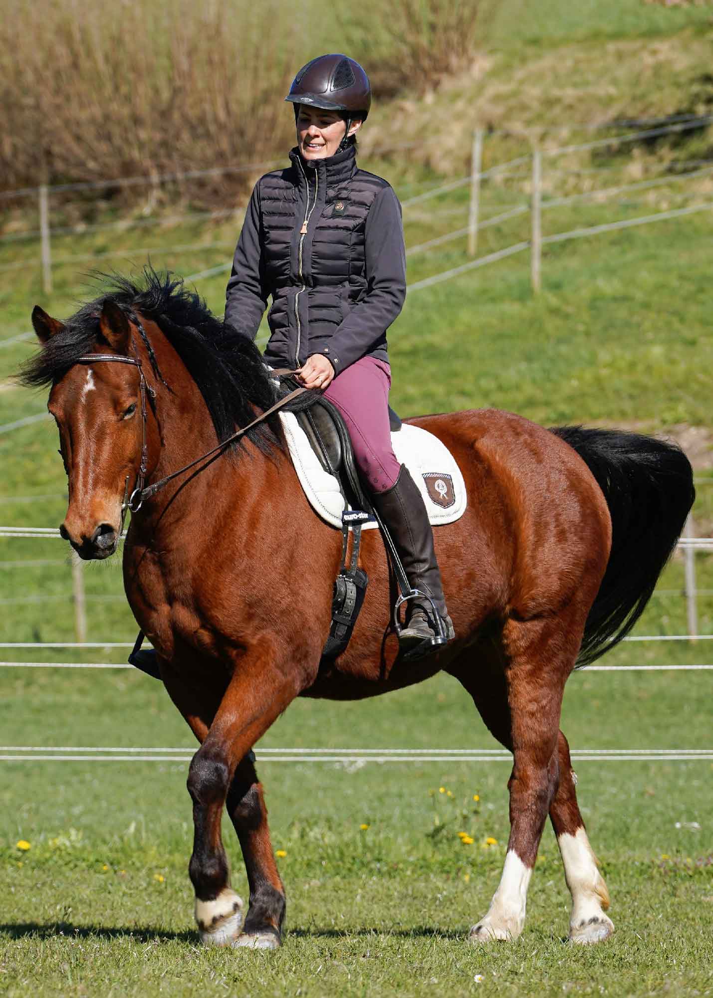 Reitunterricht Partner-Pferd Christine Kern